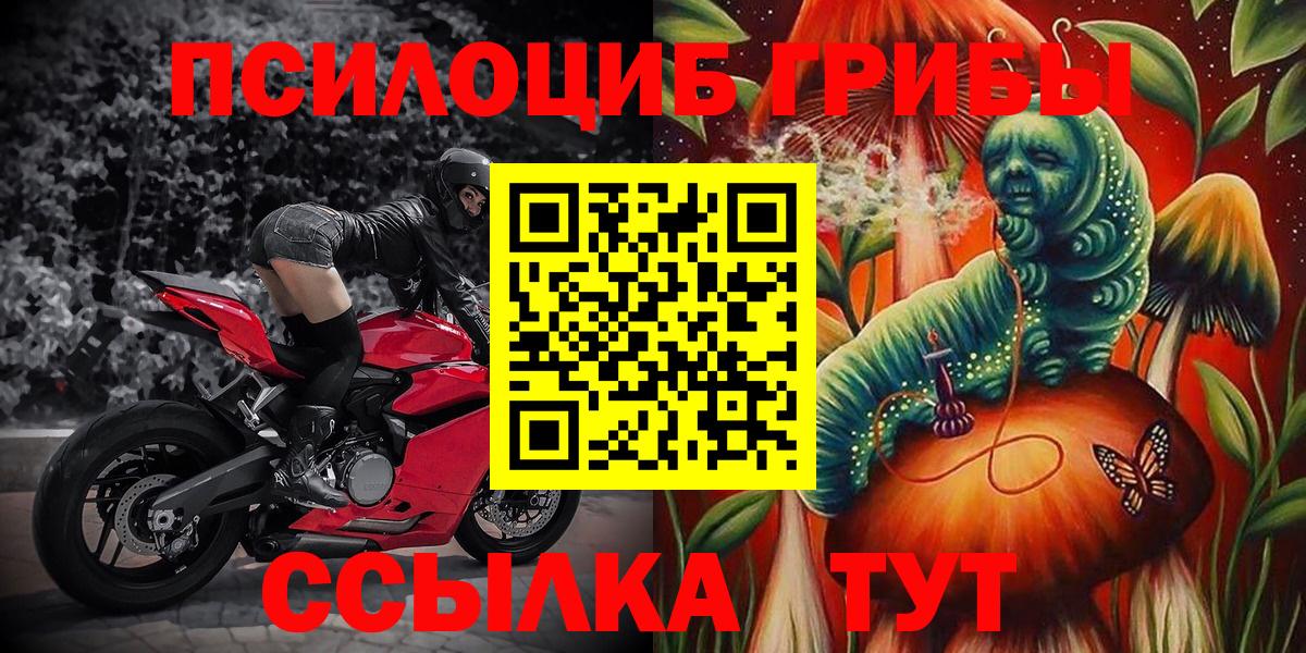 Псилоцибиновые грибы Psilocybe  Галлюциногенные грибы прущие грибы  Хасавюрт  Вход с VPN 